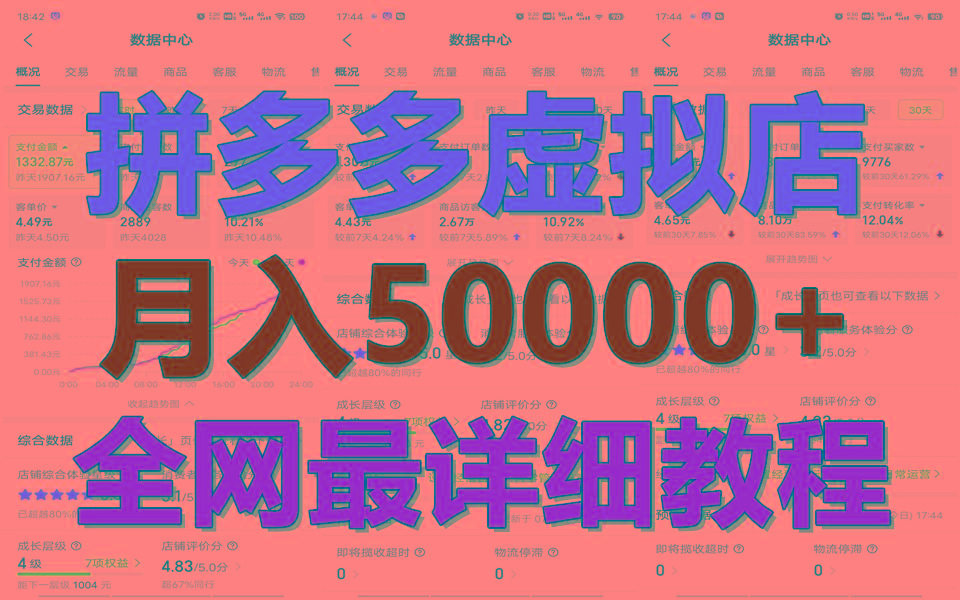 拼多多虚拟电商训练营月入50000+你也行，暴利稳定长久，副业首选-创客资源阁