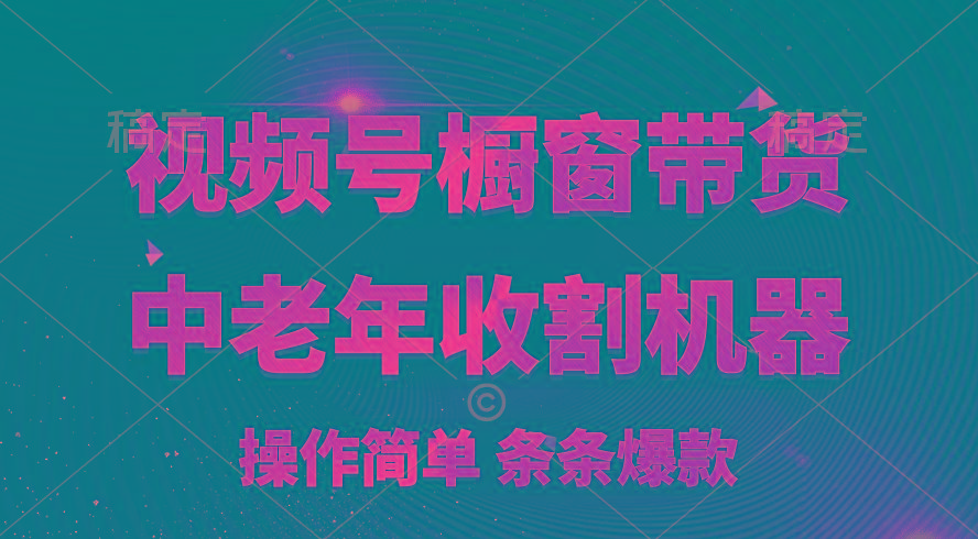 [你的孩子成功取得高位]视频号最火爆赛道，橱窗带货，流量分成计划，条…-创客资源阁