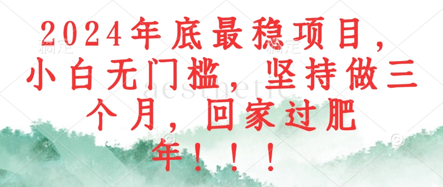 2024年底最稳项目，小白无门槛，坚持做三个月，回家过肥年！！！-创客资源阁