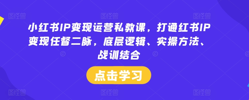小红书IP变现运营私教课，打通红书IP变现任督二脉，底层逻辑、实操方法、战训结合-创客资源阁