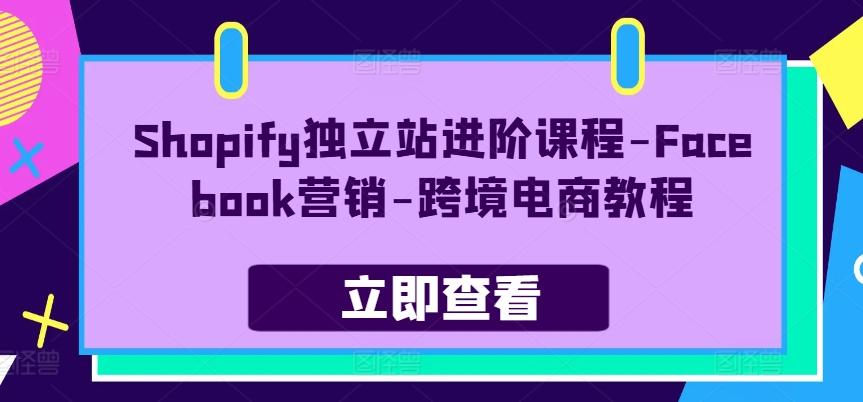 Shopify独立站进阶课程-Facebook营销-跨境电商教程-创客资源阁