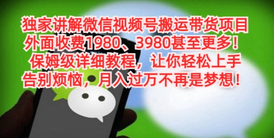独家讲解微信视频号搬运带货项目，保姆级详细教程-创客资源阁