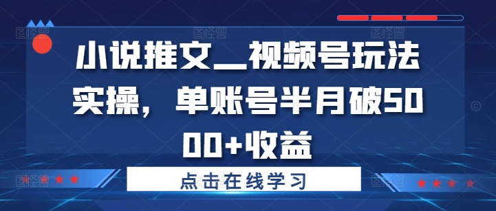 小说推文—视频号玩法实操，单账号半月破5000+收益-创客资源阁
