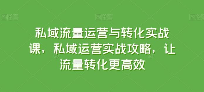 私域流量运营与转化实战课，私域运营实战攻略，让流量转化更高效-创客资源阁