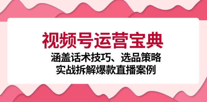 视频号运营宝典：涵盖话术技巧、选品策略、实战拆解爆款直播案例-创客资源阁