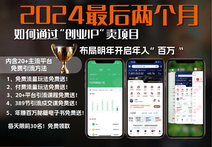 2024最后两个月如何通过”创业IP“卖项目年入”百万“,创业IP+最强引流…-创客资源阁
