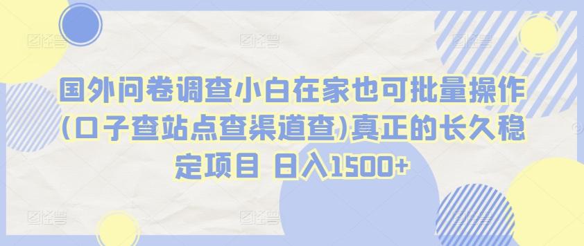 国外问卷调查小白在家也可批量操作(口子查站点查渠道查)真正的长久稳定项目 日入1500+【揭秘】-创客资源阁