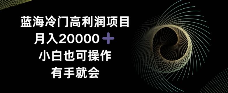 蓝海冷门高利润项目月入2000，小白也可操作有手就会-创客资源阁