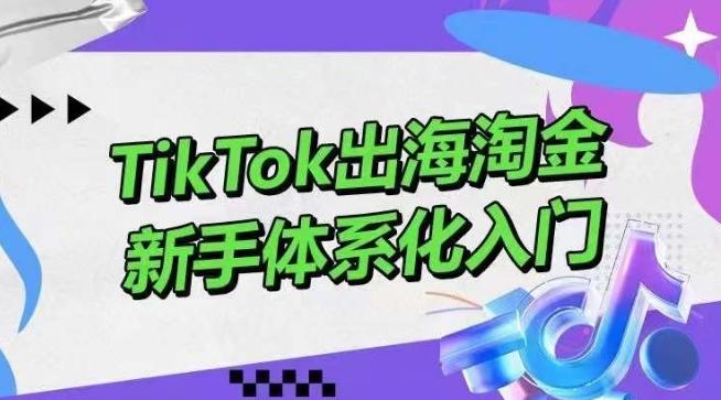 TikTok出海淘金，新手体系化入门，零基础快速入门，掌握短视频、直播带货等引流到变现的知识-创客资源阁