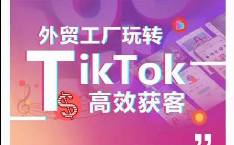 外贸工厂玩转TikTok高效获客，多种引流方式与账号定位技巧，拆解爆款短视频打造成功案例-创客资源阁