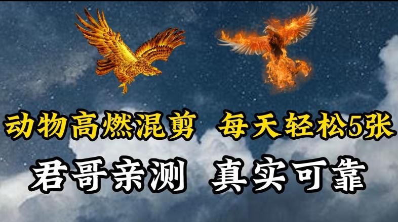 动物超燃混剪，每天轻松5张，剪辑简单大家爱看【揭秘】-创客资源阁
