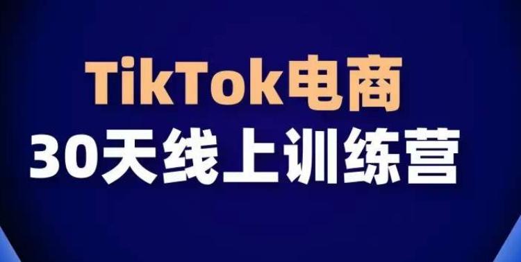 TikTok电商带货30天线上课，不可错过的全球流量洼地！-创客资源阁
