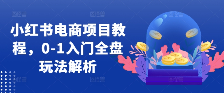 小红书电商项目教程，0-1入门全盘玩法解析-创客资源阁