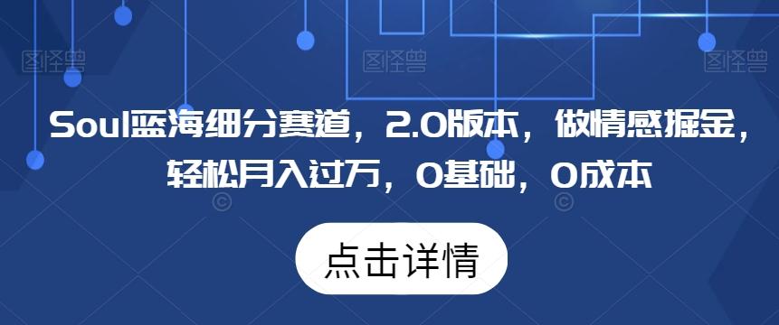 Soul蓝海细分赛道，2.0版本，做情感掘金，轻松月入过万，0基础，0成本-创客资源阁