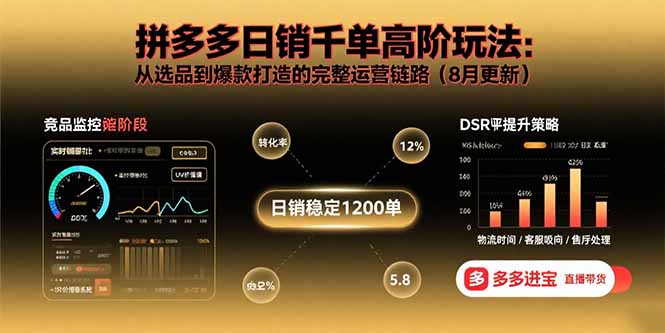 拼多多日销千单高阶玩法：从选品到爆款打造的完整运营链路(8月更新-破局灯塔