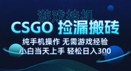 8月最新游戏搬砖，CSGO纯挂G，不需要玩游戏，实现真挂G，月入1W+【揭秘】-破局灯塔