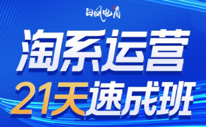 白凤电商·淘系运营21天速成班(更新8月)-破局灯塔
