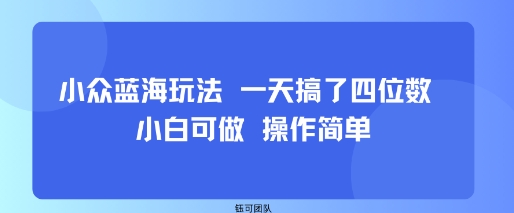 小众蓝海玩法 一天搞了四位数 小白可做 操作简单-破局灯塔