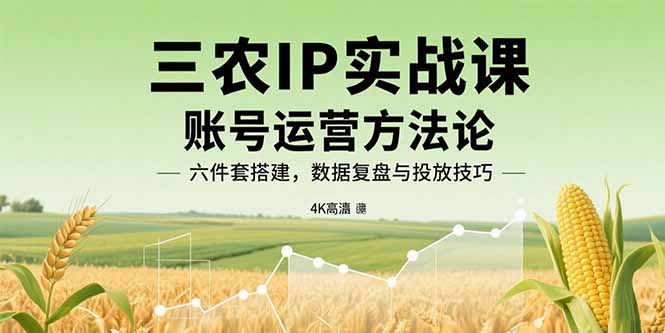 三农IP实战课：账号运营方法论，六件套搭建，数据复盘与投放技巧-破局灯塔