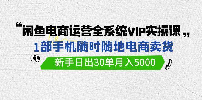 (9547期)闲鱼电商运营全系统VIP实战课，1部手机随时随地卖货，新手日出30单月入5000-创客资源阁