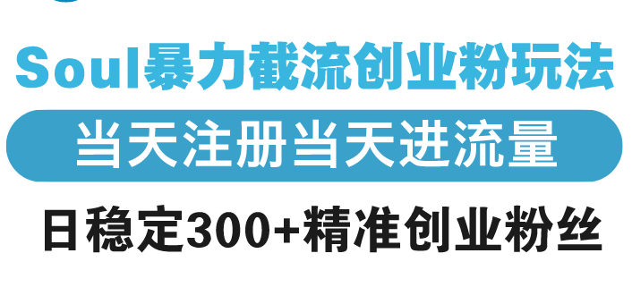Soul暴力截流创业粉玩法，当天注册当天进流量，日稳定300+精准创业粉丝-创客资源阁