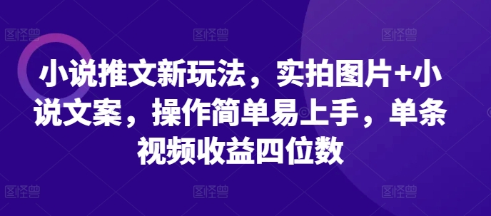 小说推文新玩法，实拍图片+小说文案，操作简单易上手，单条视频收益四位数-创客资源阁