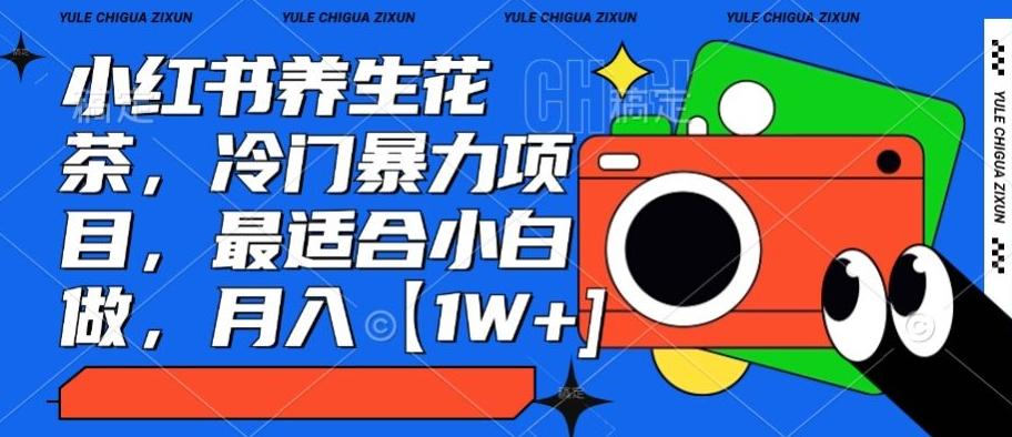 小红书养生花茶，冷门暴力项目，最适合小白做，月入【1W+】-创客资源阁
