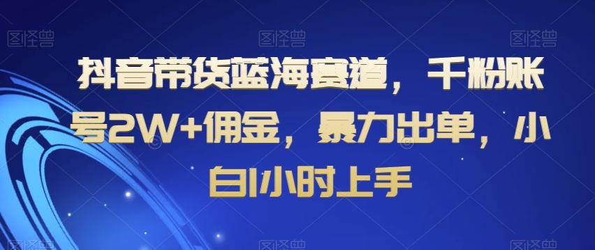 抖音带货蓝海赛道，千粉账号2W+佣金，暴力出单，小白1小时上手【揭秘】-创客资源阁