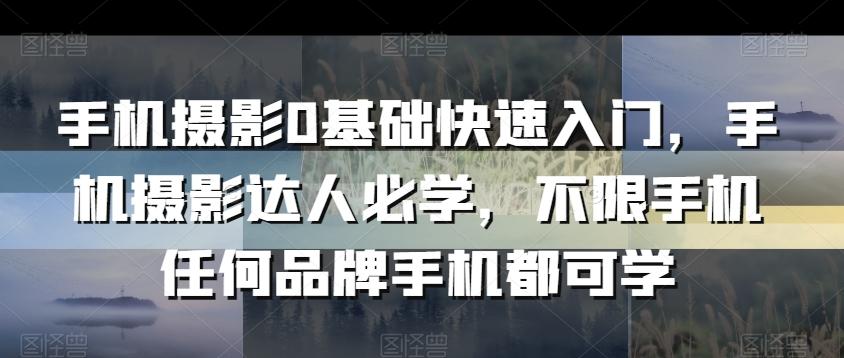 手机摄影0基础快速入门，手机摄影达人必学，不限手机任何品牌手机都可学-创客资源阁
