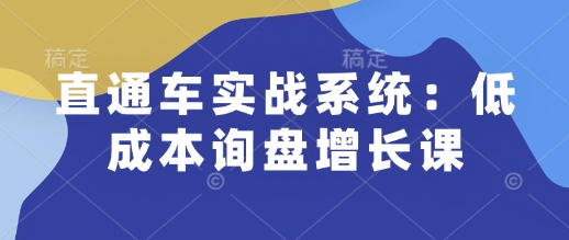 直通车实战系统：低成本询盘增长课，让个人通过技能实现升职加薪，让企业低成本获客，订单源源不断-创客资源阁