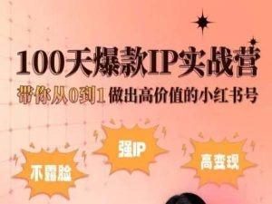 小红书100天爆款IP实战营，带你从0到1做出高价值的小红书号-创客资源阁