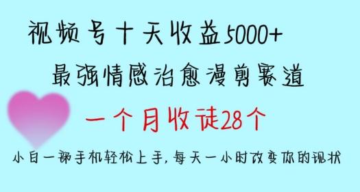 十天收益5000+，多平台捞金，视频号情感治愈漫剪，一个月收徒28个，小白一部手机轻松上手【揭秘】-创客资源阁