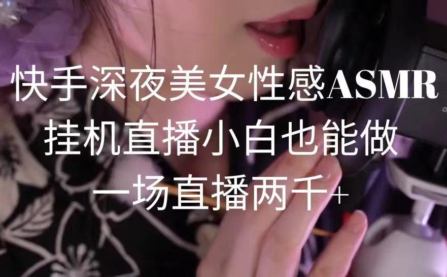 快手深夜美女性感ASMR挂机直播，小白也能做，一场直播两千+-创客资源阁