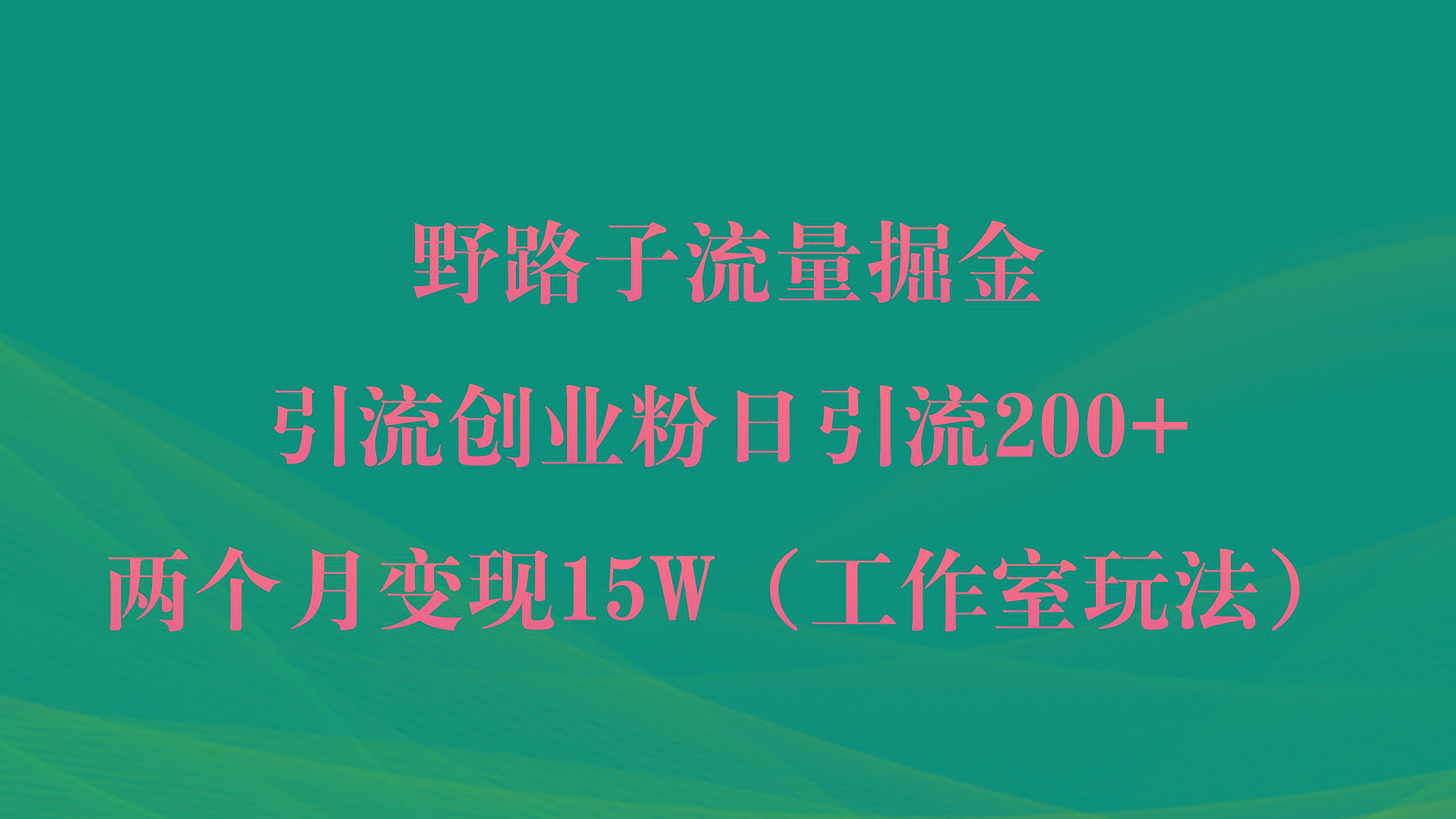 (9513期)野路子流量掘金，引流创业粉日引流200+，两个月变现15W(工作室玩法))-创客资源阁