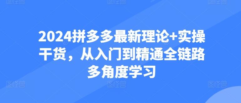 2024拼多多最新理论+实操干货，从入门到精通全链路多角度学习-创客资源阁