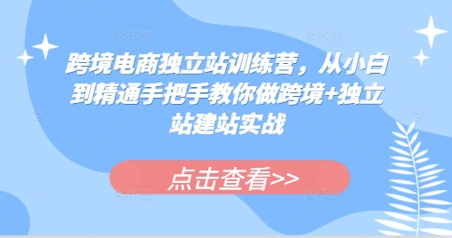 跨境电商独立站训练营，从小白到精通手把手教你做跨境+独立站建站实战-创客资源阁