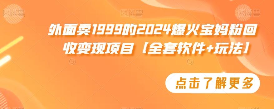 外面卖1999的2024爆火宝妈粉回收变现项目【全套软件+玩法】【揭秘】-创客资源阁