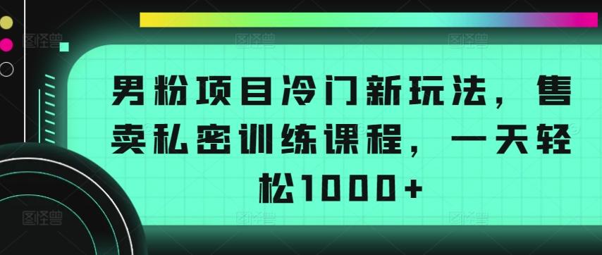 男粉项目冷门新玩法，售卖私密训练课程，一天轻松1000+【揭秘】-创客资源阁