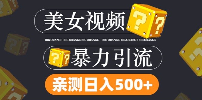 搬运tk美女视频全网分发，日引s粉300+，轻松变现，不限流量不封号【揭秘】-创客资源阁
