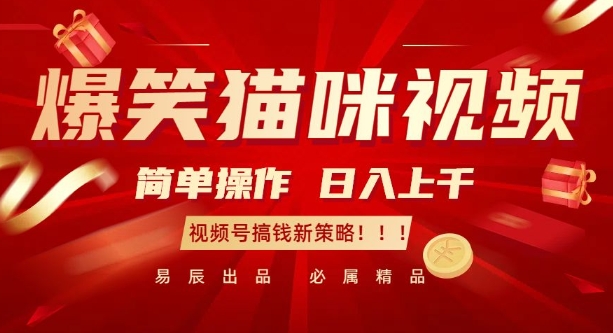 爆笑猫咪视频：简单操作，日入过K，视频号搞钱新策略【揭秘】-创客资源阁