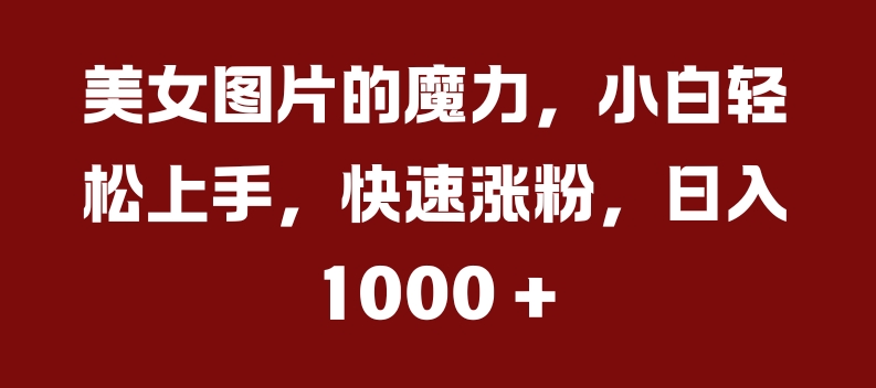 美女图片的魔力，小白轻松上手，快速涨粉，日入几张【揭秘】-创客资源阁