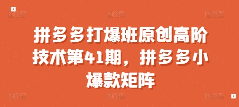 拼多多打爆班原创高阶技术第41期，拼多多小爆款矩阵-创客资源阁