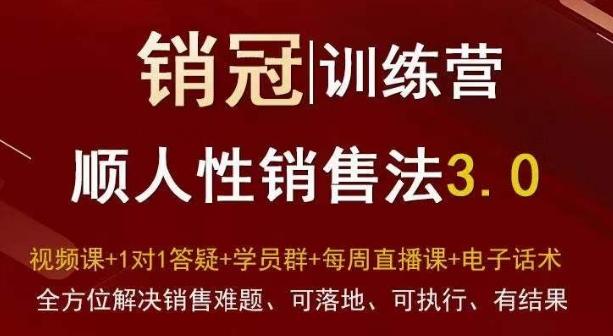 爆款！销冠训练营3.0之顺人性销售法，全方位解决销售难题、可落地、可执行、有结果-创客资源阁
