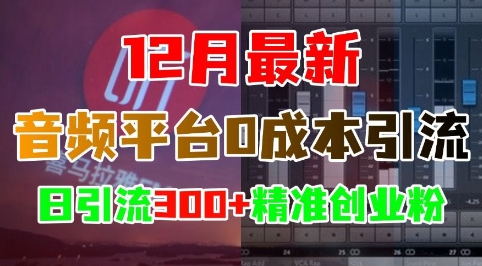 12月最新：音频平台0成本引流，日引流300+精准创业粉-创客资源阁