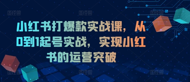 小红书打爆款实战课，从0到1起号实战，实现小红书的运营突破-创客资源阁