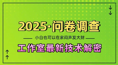 2025问卷调查最新工作室技术解密：一个人在家也可以闷声发大财，小白一天2张，可矩阵放大【揭秘】-创客资源阁