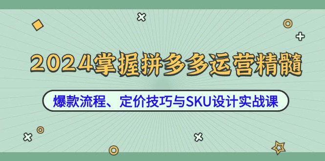2024掌握拼多多运营精髓：爆款流程、定价技巧与SKU设计实战课-创客资源阁