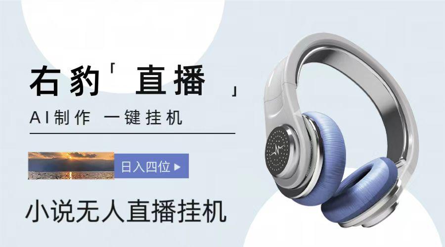 右豹小说无人直播挂机吸金项目，简单易行收益稳定， 月入1000+-创客资源阁