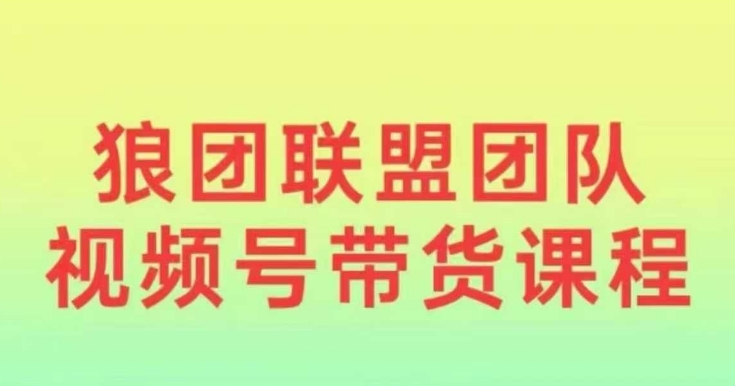 狼团联盟2024视频号带货，0基础小白快速入局视频号-创客资源阁