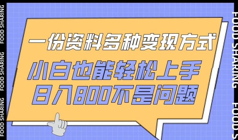 一份资料多种变现方式，小白也能轻松上手，日入800不是问题【揭秘】-创客资源阁